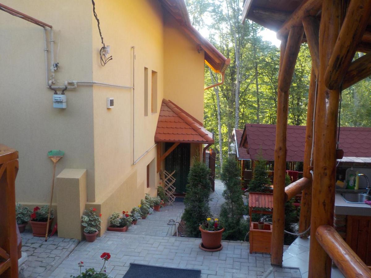 Casa Dora Pensiune